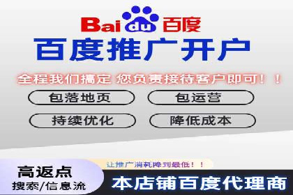 百度竞价广告策略分析及实战案例